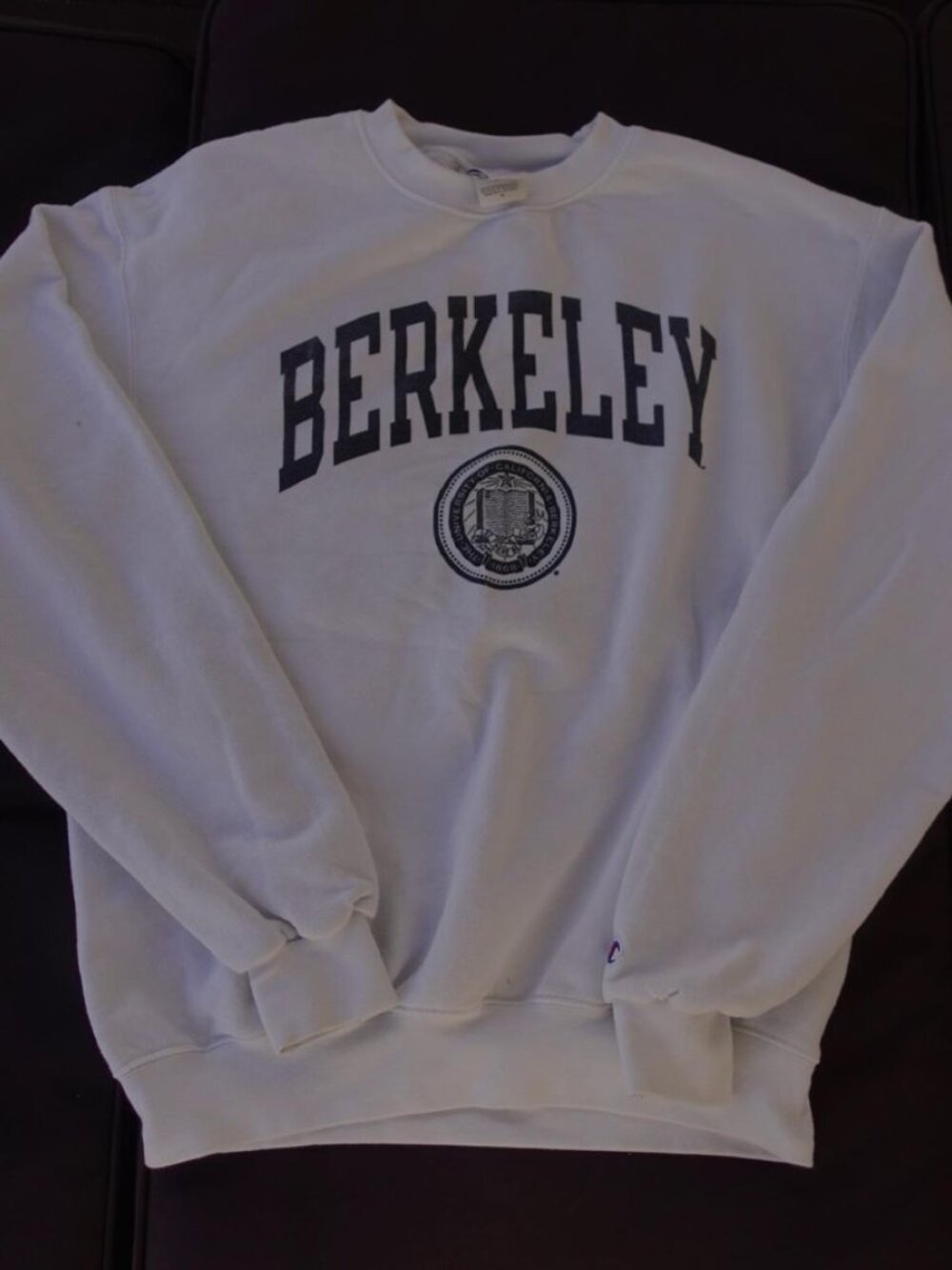 Champion Men's White Sweatshirt